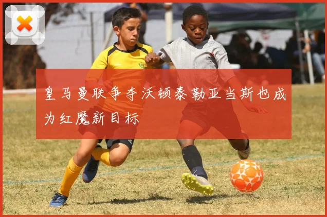 皇马曼联争夺沃顿泰勒亚当斯也成为红魔新目标